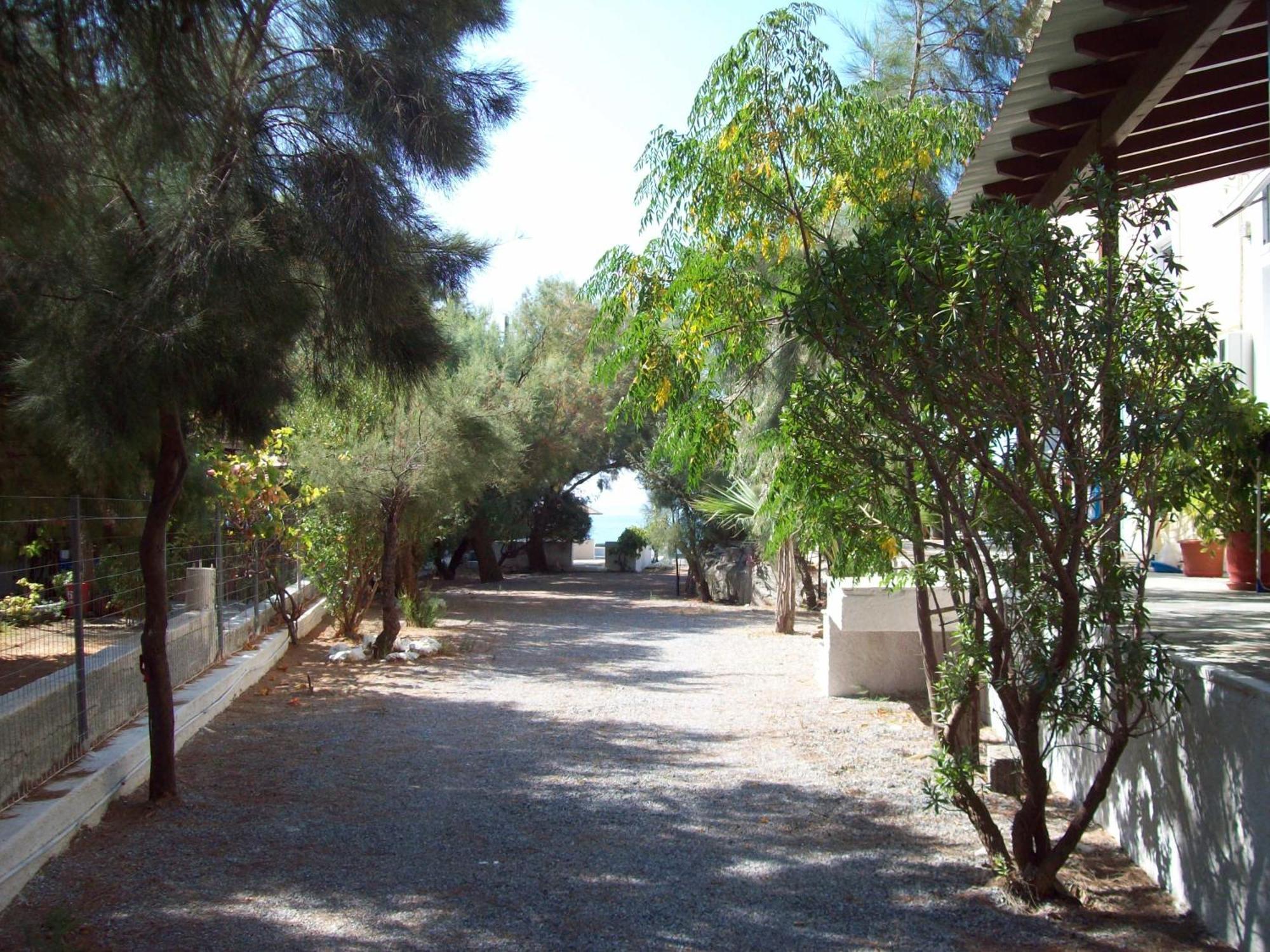 Oasis Studios Psili Ammos  Exteriér fotografie